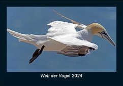 Welt der Vögel 2024 Fotokalender DIN A5 - Tobias Becker