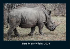 Tiere in der Wildnis 2024 Fotokalender DIN A4 - Tobias Becker