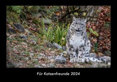 Für Katzenfreunde 2024 Fotokalender DIN A3 - Tobias Becker