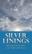 Silver Linings - Bild 1