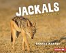 Jackals - Bild 1