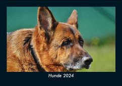 Hunde 2024 Fotokalender DIN A5 - Tobias Becker