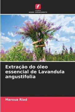 Extração do óleo essencial de Lavandula angustifolia - Riad, Maroua