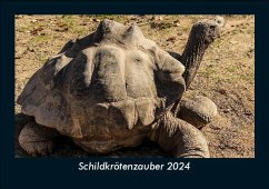 Schildkrötenzauber 2024 Fotokalender DIN A5 - Tobias Becker