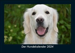 Der Hundekalender 2024 Fotokalender DIN A5 - Tobias Becker