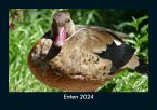 Enten 2024 Fotokalender DIN A5