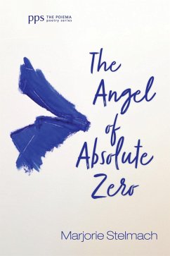 The Angel of Absolute Zero (eBook, ePUB) - Stelmach, Marjorie