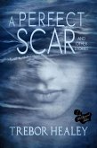 A Perfect Scar and Other Stories (eBook, ePUB) A Perfect Scar and Other Stories (eBook, ePUB)