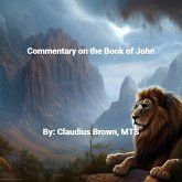 Commentary on the Book of John (eBook, ePUB)