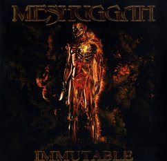 Cover Immutable(Orange Colored Circle Black Vinyl)