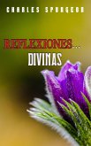 Reflexiones Divinas (eBook, ePUB)