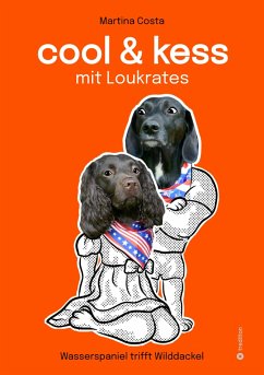 Cool und kess mit Loukrates (eBook, ePUB) - Costa, Martina