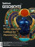 Spektrum Geschichte - Punt (eBook, PDF)
