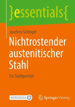 Nichtrostender austenitischer Stahl - Schlegel, Joachim