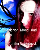 Bildnis von Mond und Sterne (eBook, ePUB)