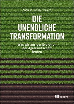 Die unendliche Transformation (eBook, PDF) - Springer-Heinze, Andreas