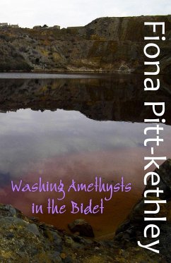 Washing Amethysts in the Bidet - Pitt-Kethley, Fiona