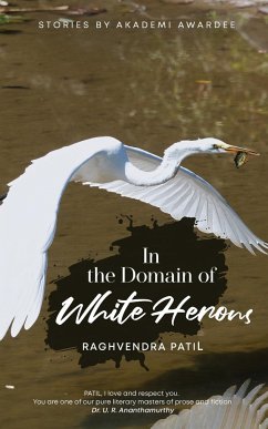 In the Domain Of White Herons - Patil, Raghvendra