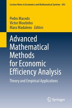Advanced Mathematical Methods for Economic Efficiency Analysis (eBook, PDF)