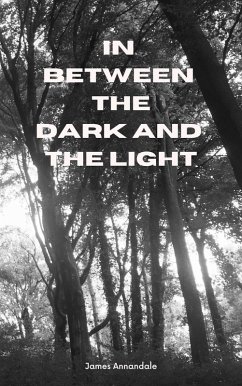 Cover In Between the Dark and the Light (eBook, ePUB)