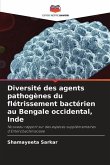 Diversité des agents pathogènes du flétrissement bactérien au Bengale occidental, Inde
