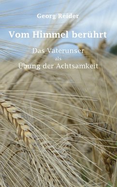 Cover Vom Himmel berührt (eBook, ePUB)