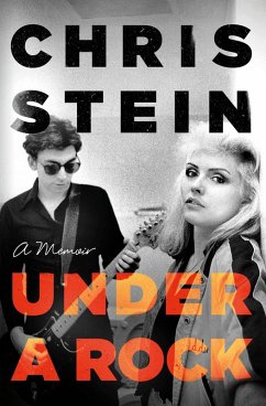Under A Rock (eBook, ePUB) - Stein, Chris
