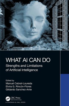 Cover What AI Can Do (eBook, ePUB)