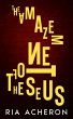 The Amazement of Theseus (eBook, ePUB) - Bild 1