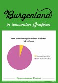 Burgenland in leiwanden Grafiken