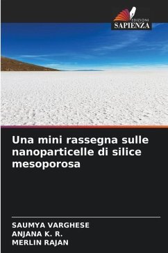 Una mini rassegna sulle nanoparticelle di silice mesoporosa - Varghese, Saumya;K. R., Anjana;RAJAN, MERLIN