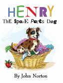 Henry The Spare Parts Dog