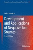Development and Applications of Negative Ion Sources (eBook, PDF)