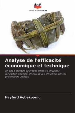 Analyse de l'efficacité économique et technique - Agbekpornu, Hayford