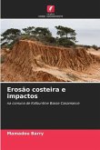 Erosão costeira e impactos