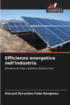 Efficienza energetica nell'industria - Fada Bangmou, Giscard Péruchon