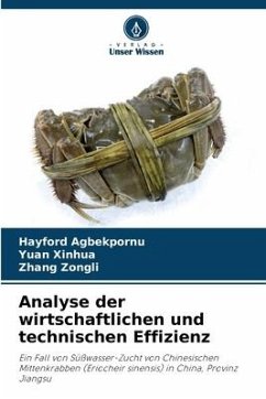 Analyse der wirtschaftlichen und technischen Effizienz - Agbekpornu, Hayford;Xinhua, Yuan;Zongli, Zhang