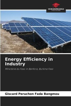 Energy Efficiency in Industry - Fada Bangmou, Giscard Péruchon