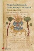 Mogol Anadolusunda Islam, Edebiyat Ve Toplum