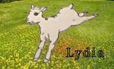 Lydia (Life, Liberty and Survival) (eBook, ePUB)