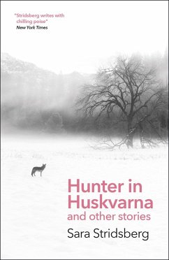 Cover Hunter in Huskvarna (eBook, ePUB)