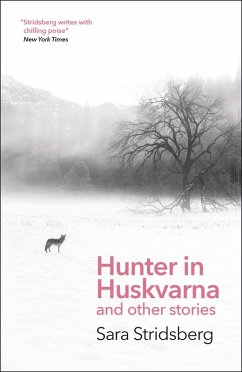 Hunter in Huskvarna (eBook, ePUB) - Stridsberg, Sara