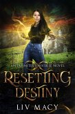 Resetting Destiny (The Infinites Universe, #2) (eBook, ePUB)