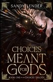 Choices Meant For Gods (The Choices Trilogy, #1) (eBook, ePUB) Choices Meant For Gods (The Choices Trilogy, #1) (eBook, ePUB)