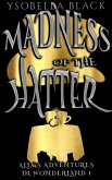 Madness of the Hatter (Alix in Wonderland, #1) (eBook, ePUB)