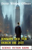 Jenseits der Tür durch die Zeit: Science Fiction Krimi (eBook, ePUB)