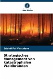Strategisches Management von katastrophalen Waldbränden