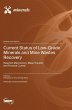 Current Status of Low-Grade Minerals... - Bild 1