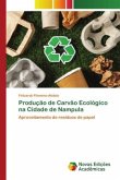 Produção de Carvão Ecológico na Cidade de Nampula