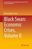 Black Swan: Economic Crises, Volume II (eBook, PDF)